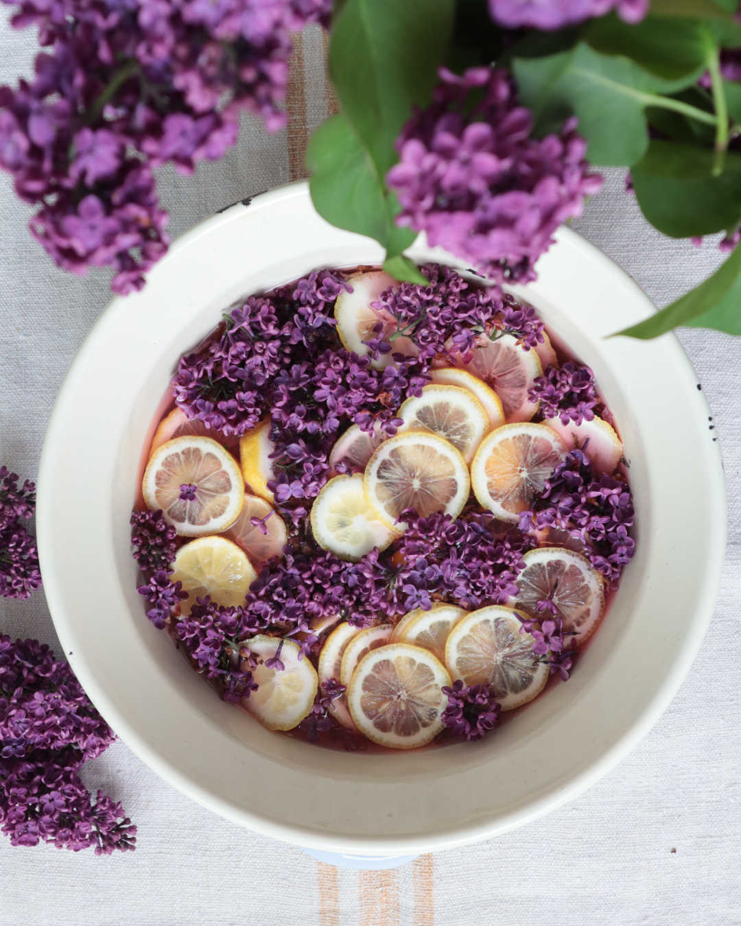 Fliedersirup selber machen | Rezept Fliedersirup selber machen | Rezept