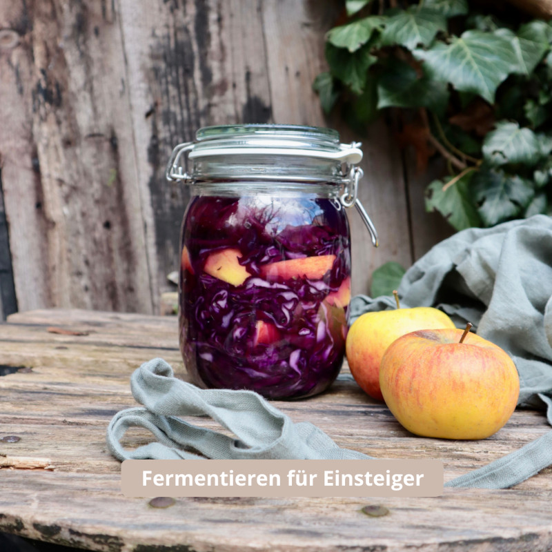 Fermentieren für Einsteiger