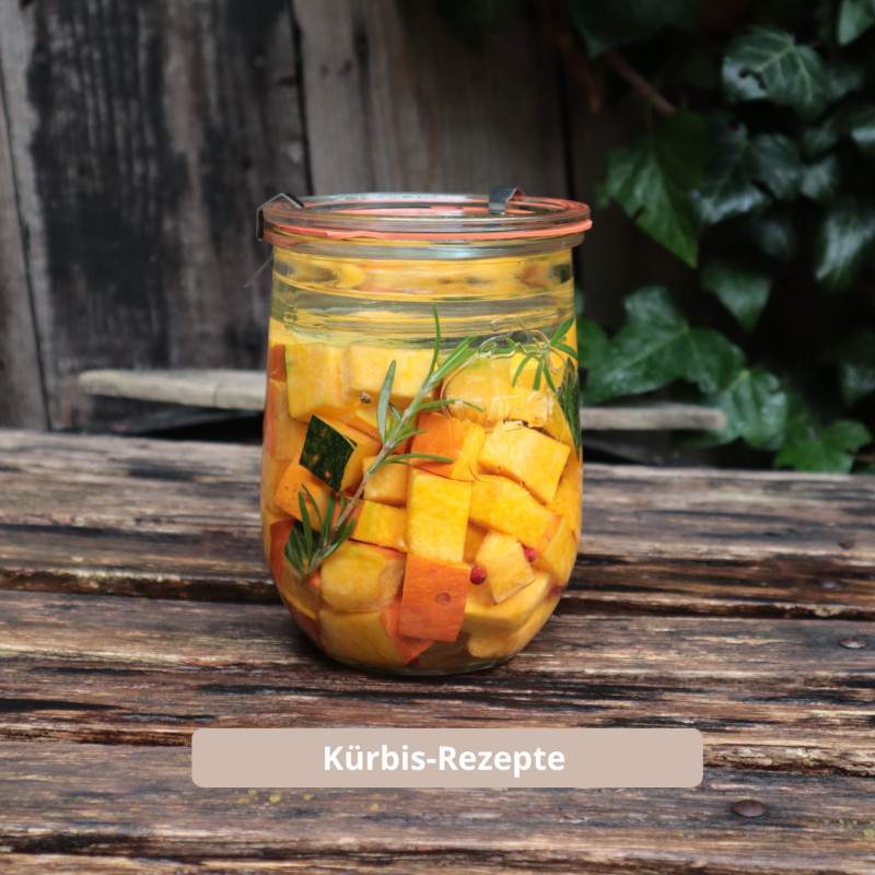 Kürbis-Rezepte