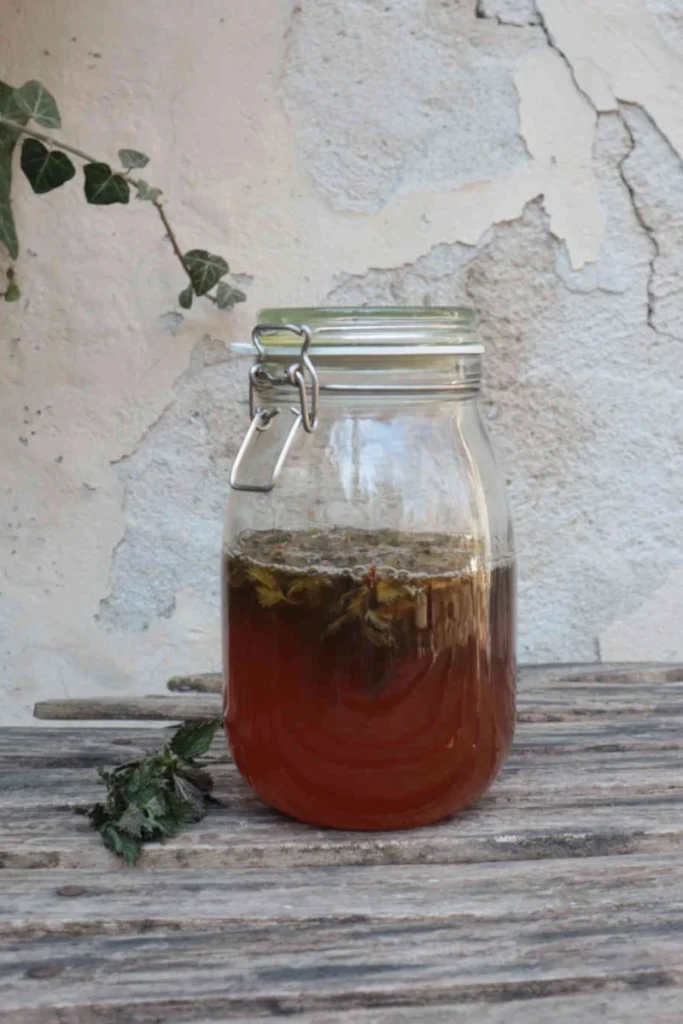 Brennnessel-Oxymel in großem Weckglas vor Mauer