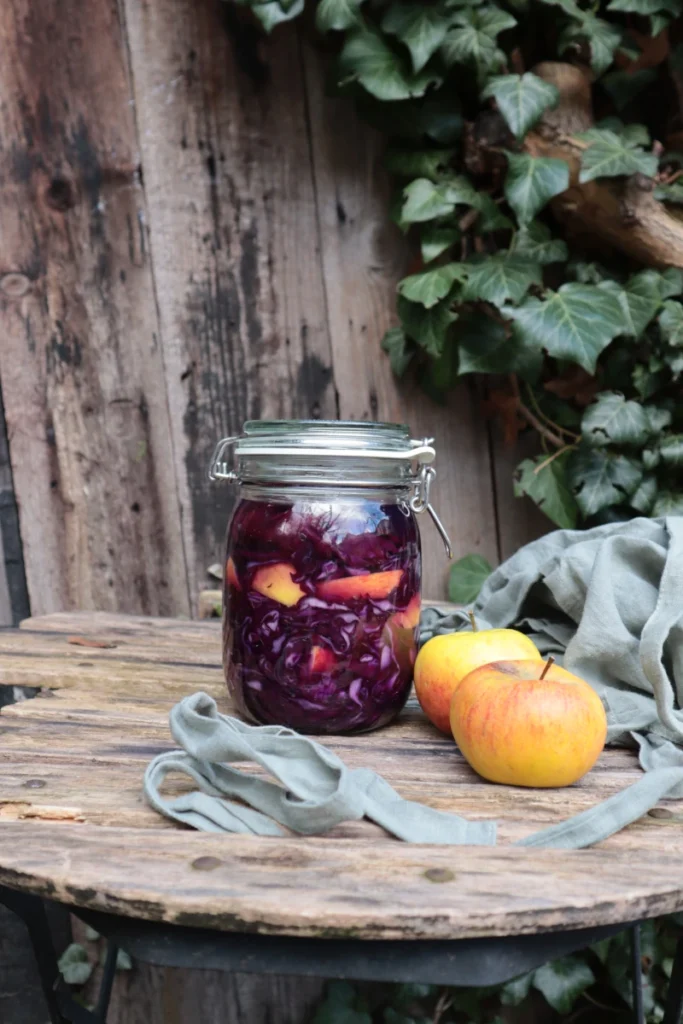 Fermentiertes Rotkraut
