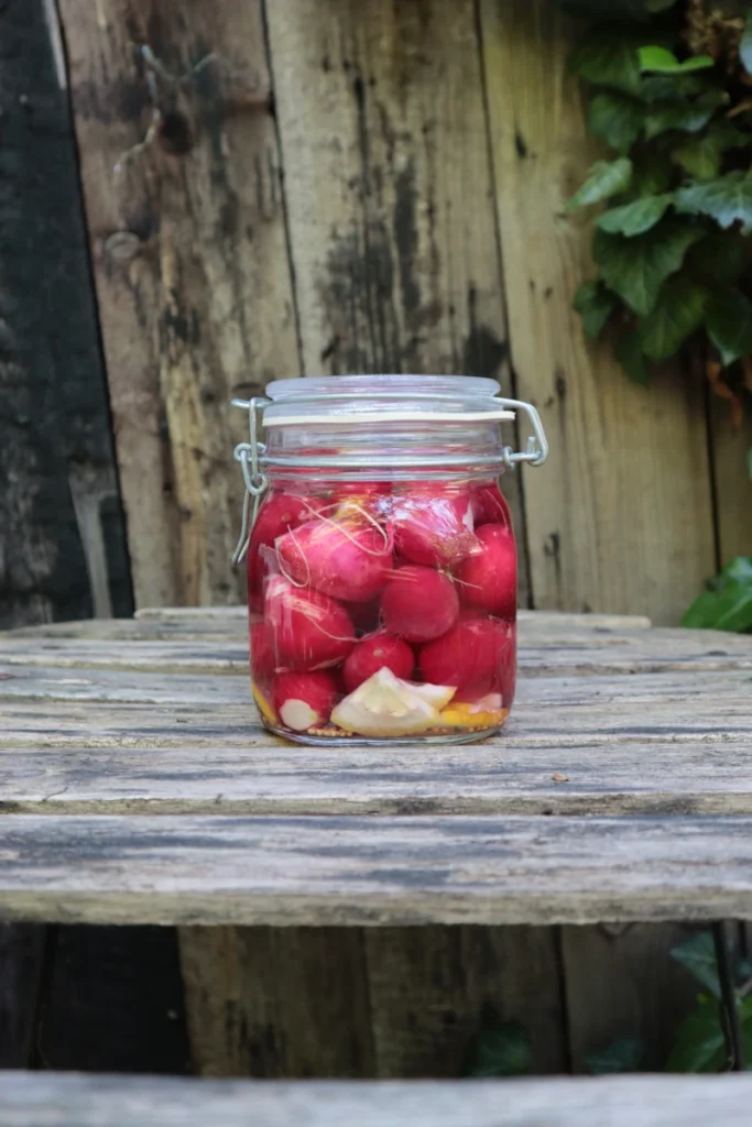 Weckglas mit fermentierten Radieschen