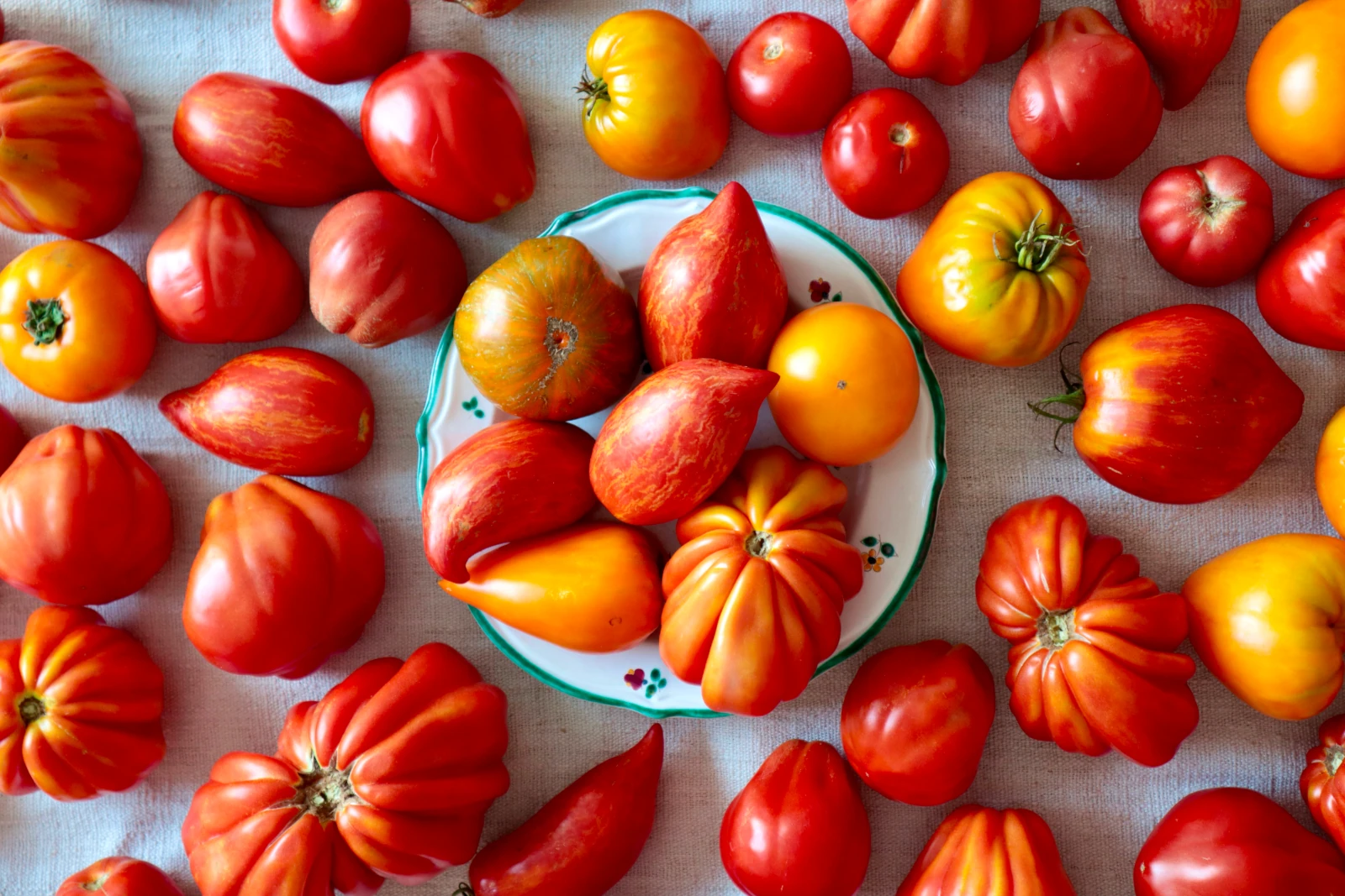 Gelbe und rote Tomaten aufgelegt