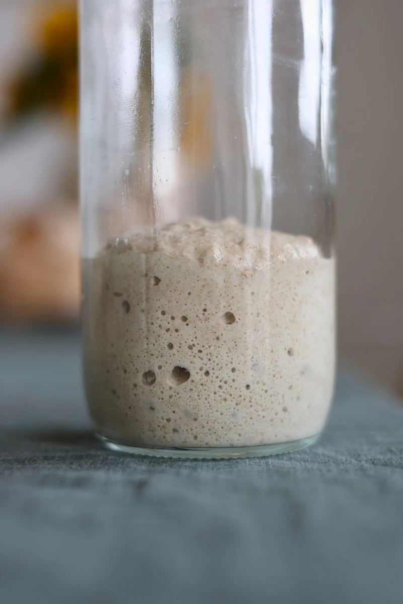 Aktivierter Sauerteig im Glas